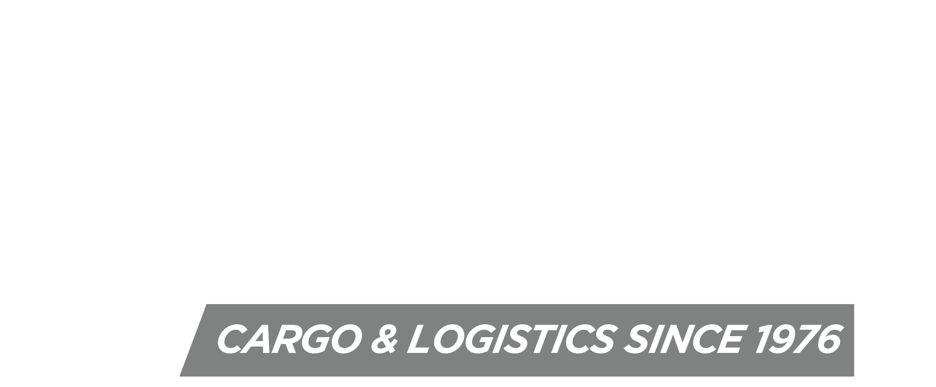 SICSA - Sistema Integrado de Carga S.A.